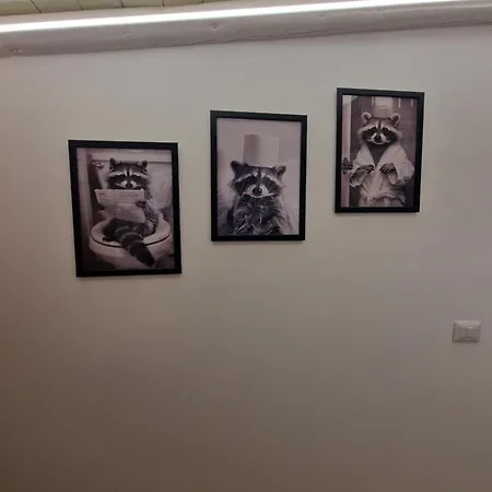 Blueskyhouse Centro 아파트